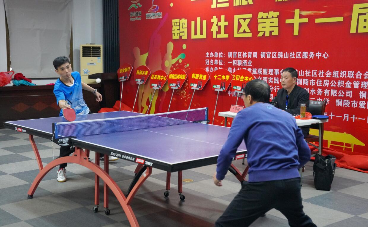 中国游泳队