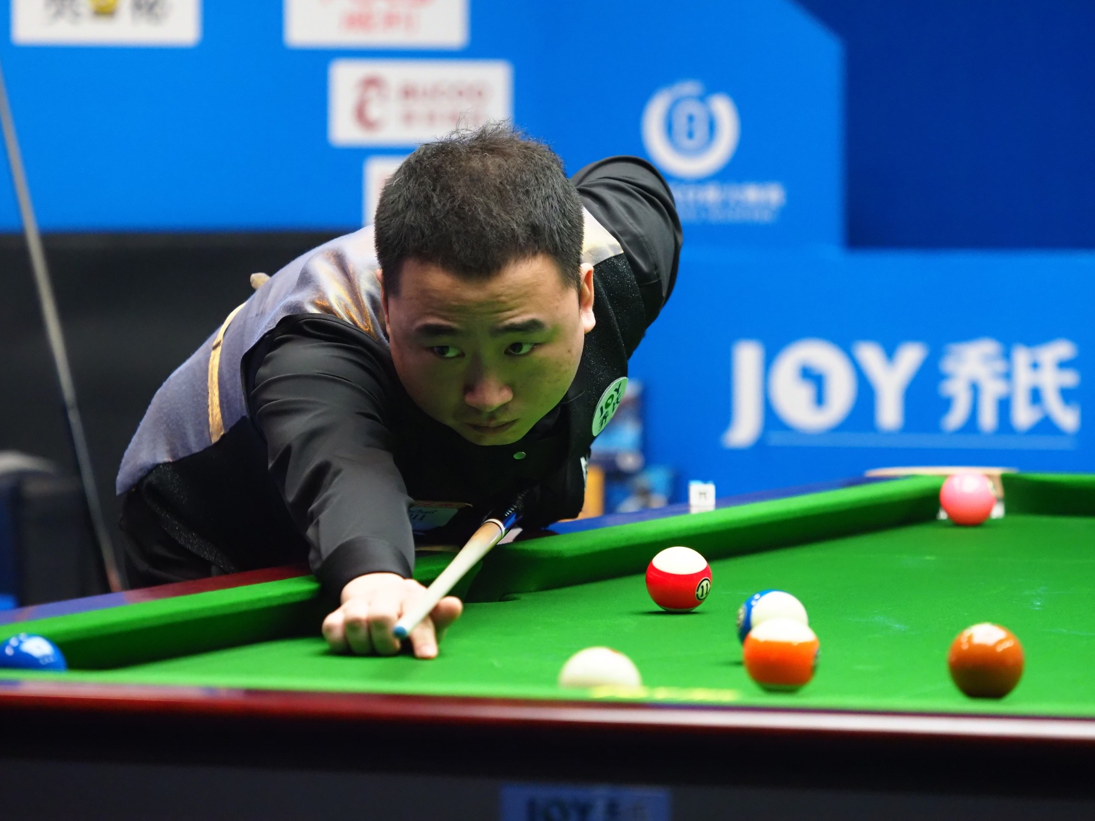 设计的风筝 设计的风筝