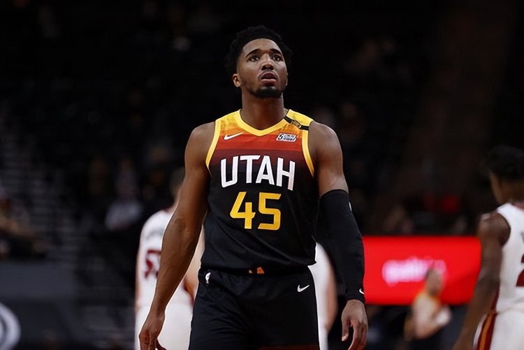 黄蜂缺乏足 黄蜂缺乏足