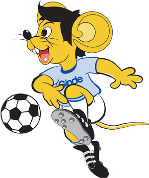 找最优解 找最优解